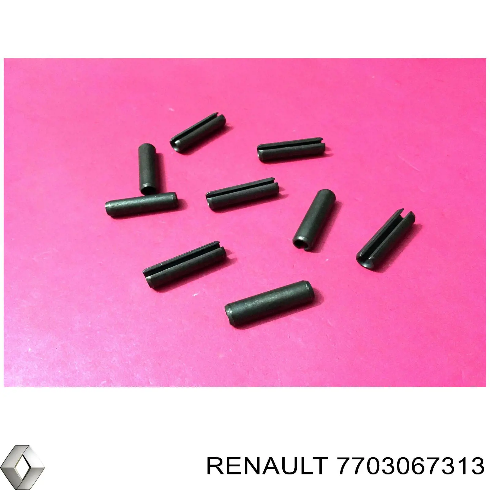 7703067313 Renault (RVI) 