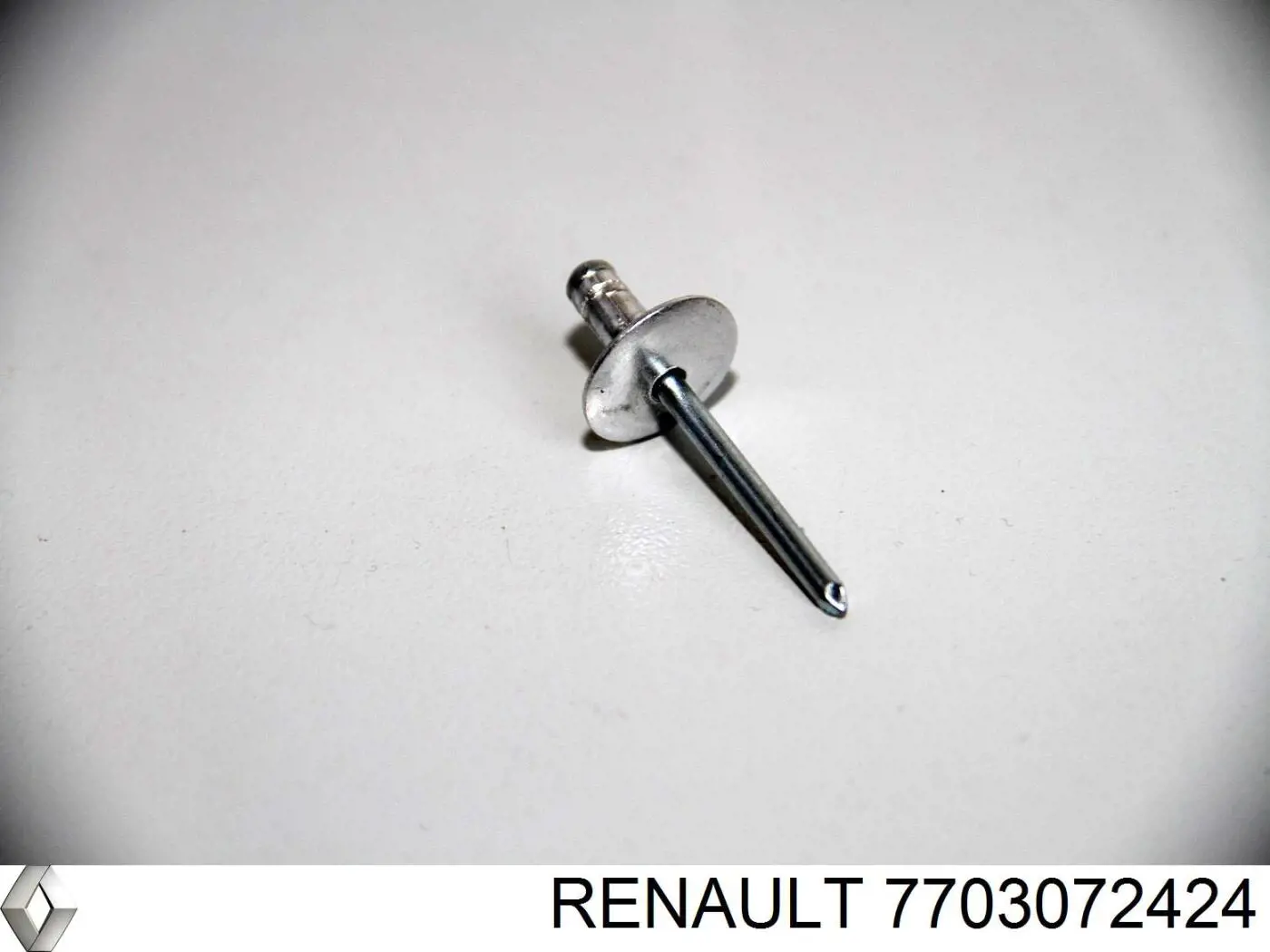  7705096011 Renault (RVI)