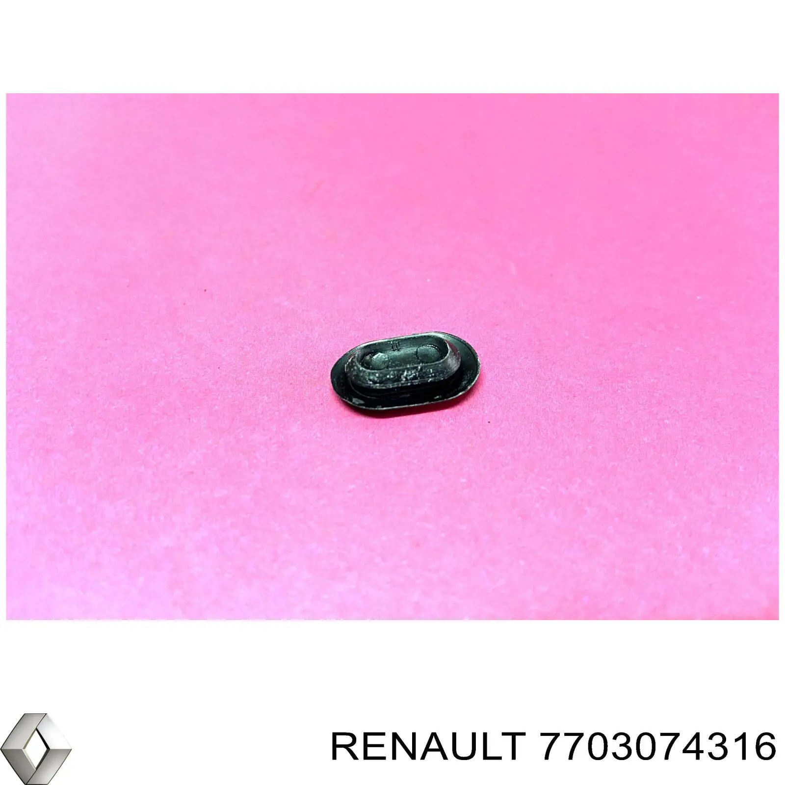 7703074316 Renault (RVI) 