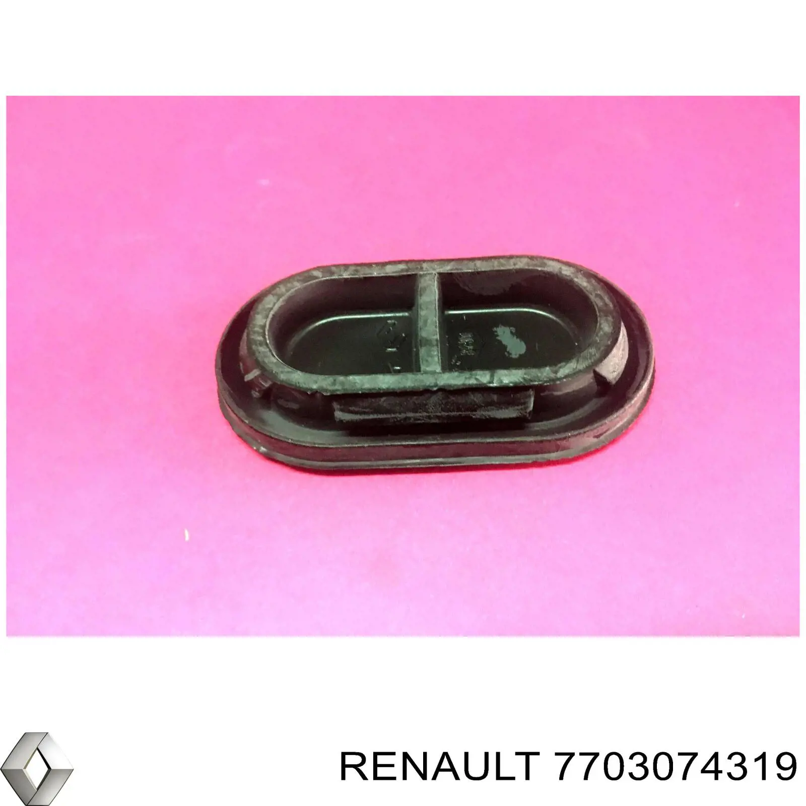  7703074319 Renault (RVI)