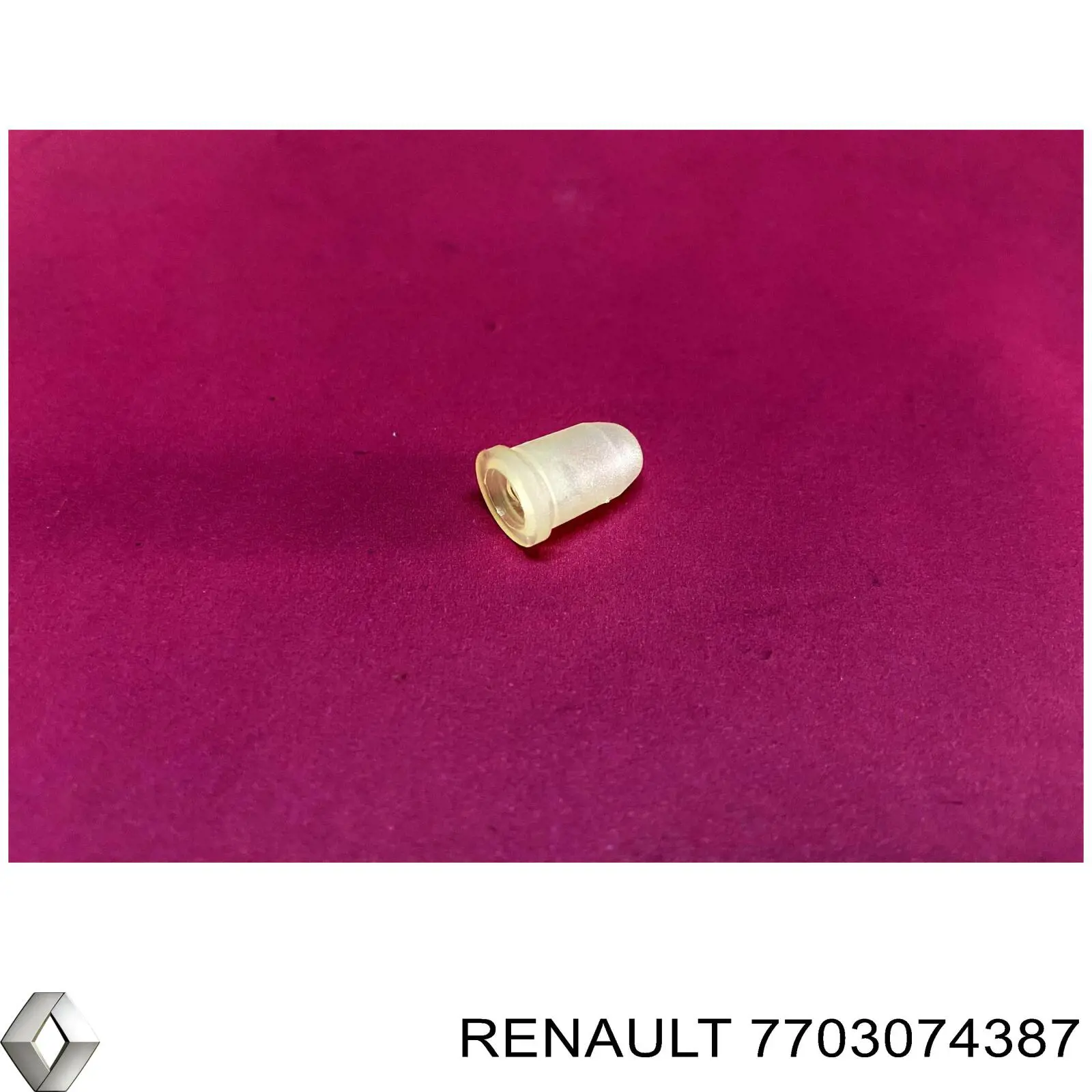 7703074387 Renault (RVI) 