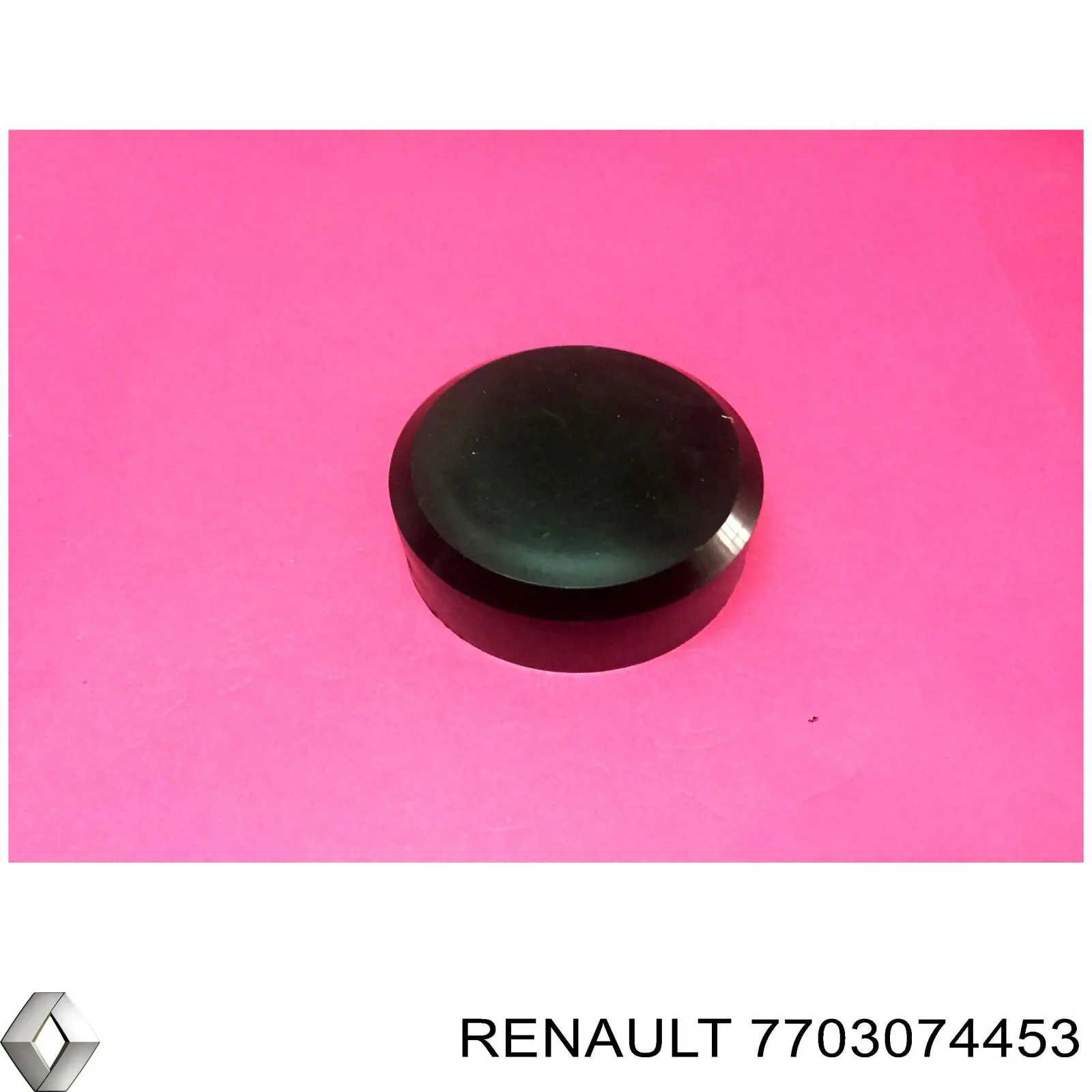 7703074453 Renault (RVI) 