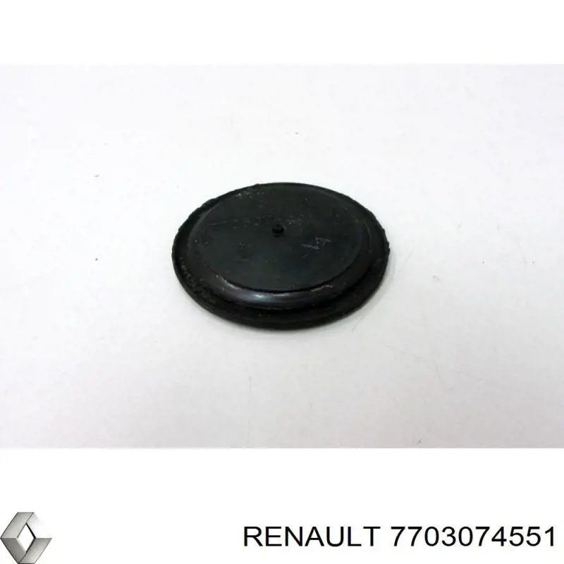  7703074551 Renault (RVI)