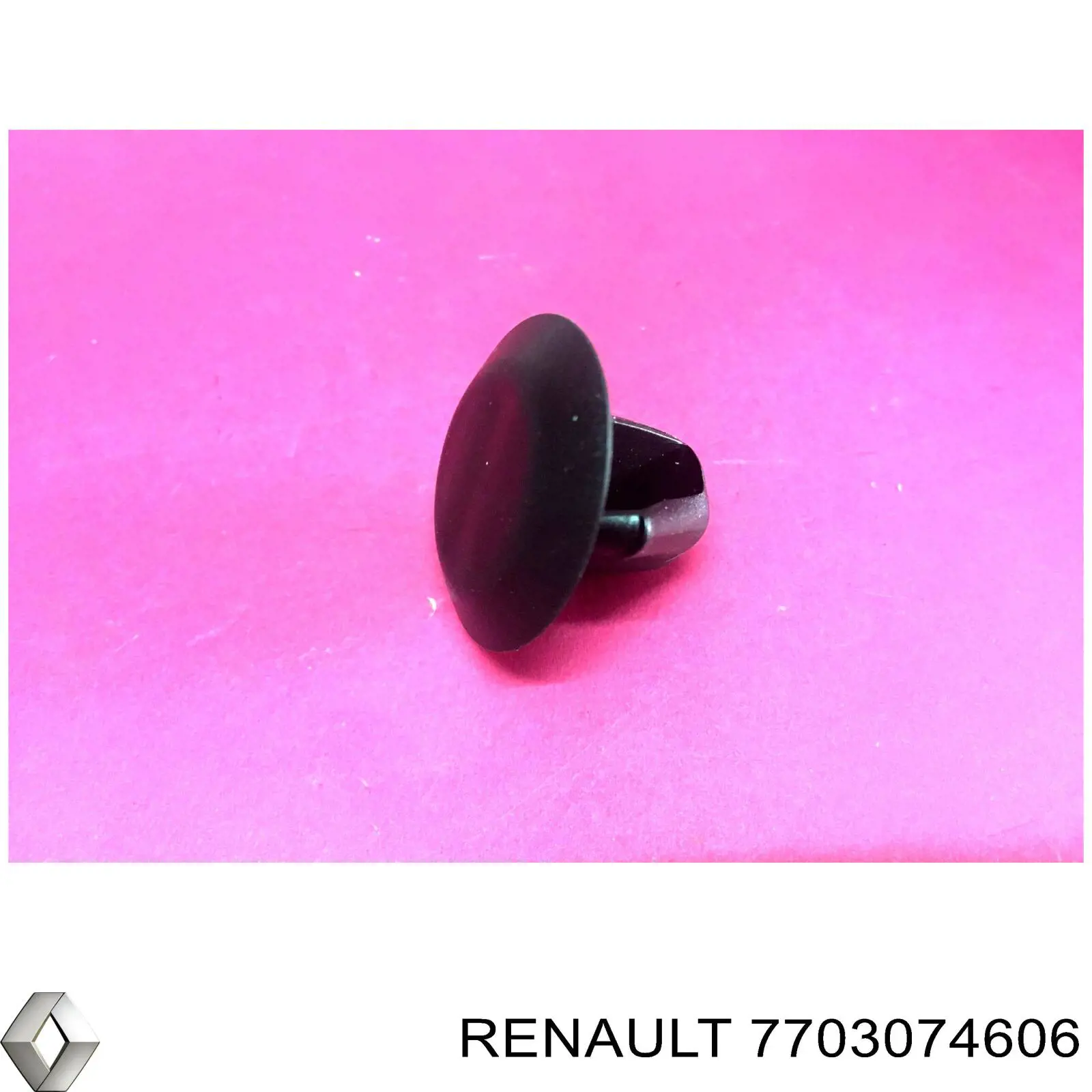  7703074606 Renault (RVI)