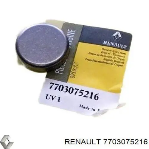 7703075216 Renault (RVI)