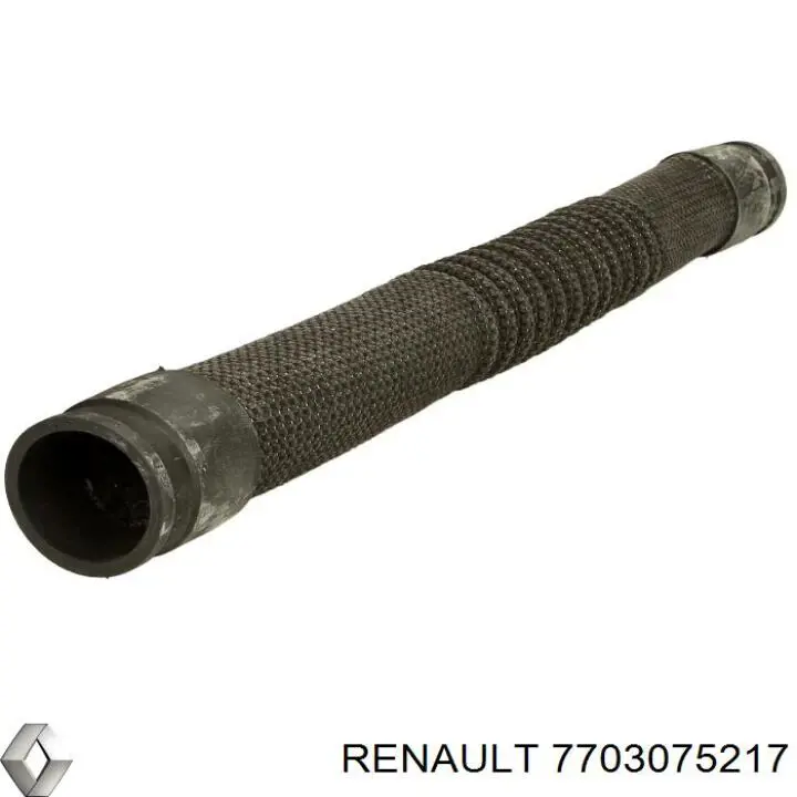 7703075217 Renault (RVI) tampão cbc/do bloco de cilindros