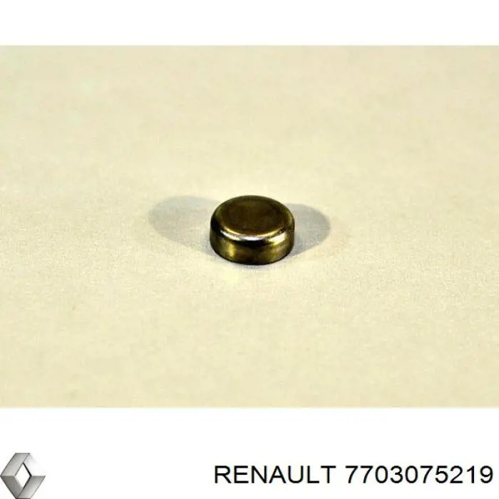 Крышка ГБЦ Renault (RVI) 7703075219 цена, от 5.73 USD