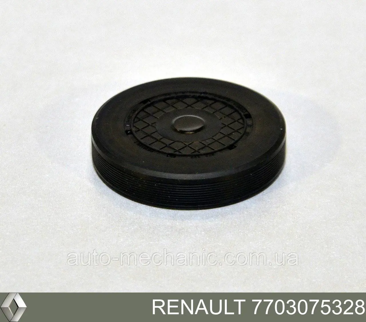 Заглушка ГБЦ/блока цилиндров Renault (RVI) 7703075328