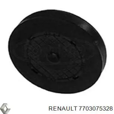 Заглушка ГБЦ 7703075328 Renault (RVI)
