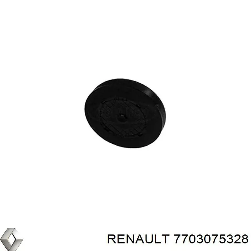 Заглушка блока цилиндров Renault (RVI) 7703075328
