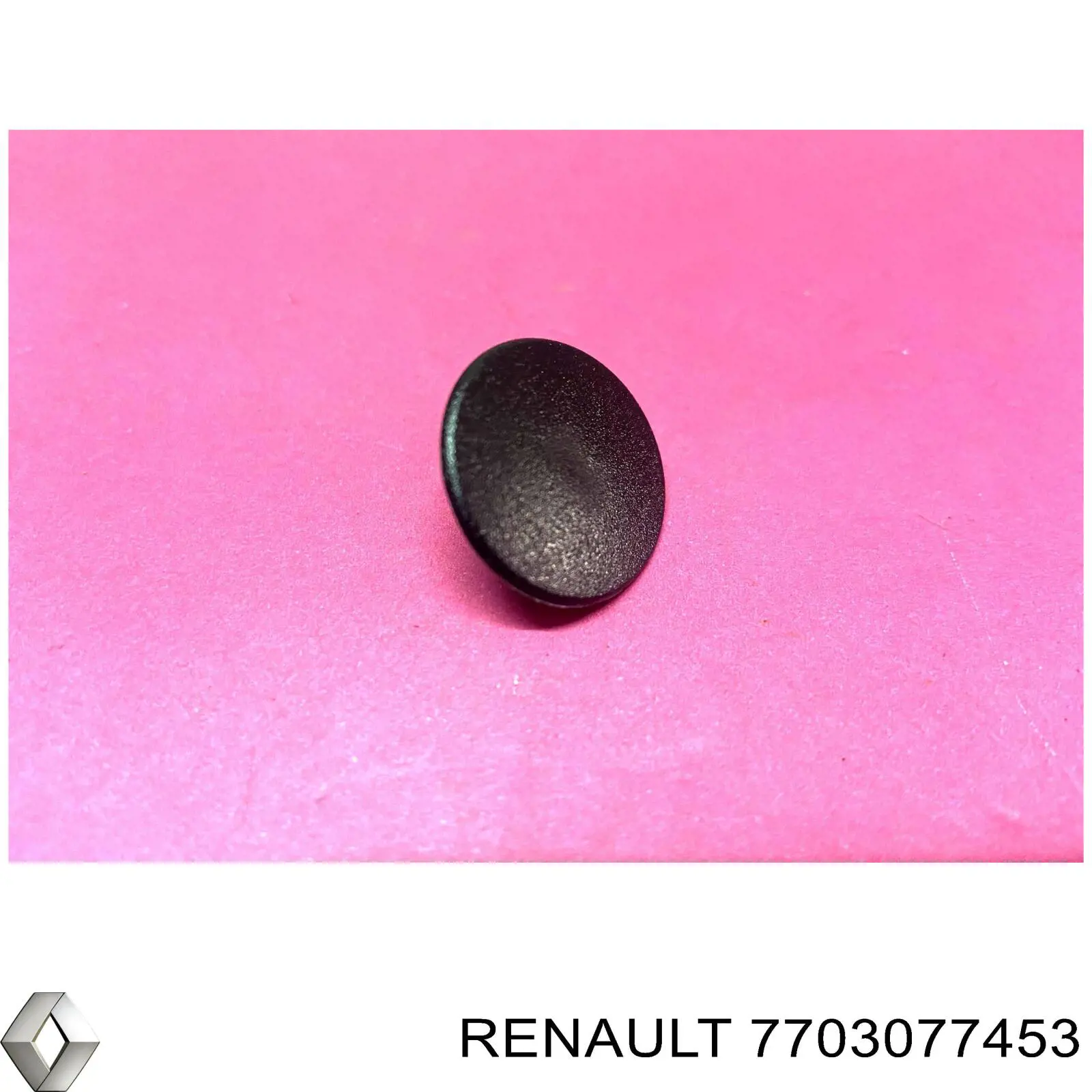 Купить 7703077453 Renault (RVI) 