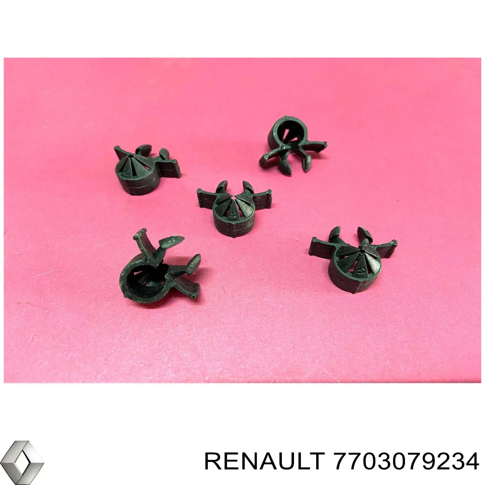 7703079234 Renault (RVI) 