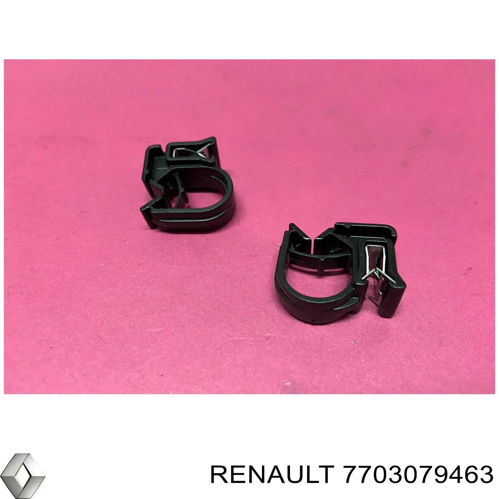 7703079463 Renault (RVI) 