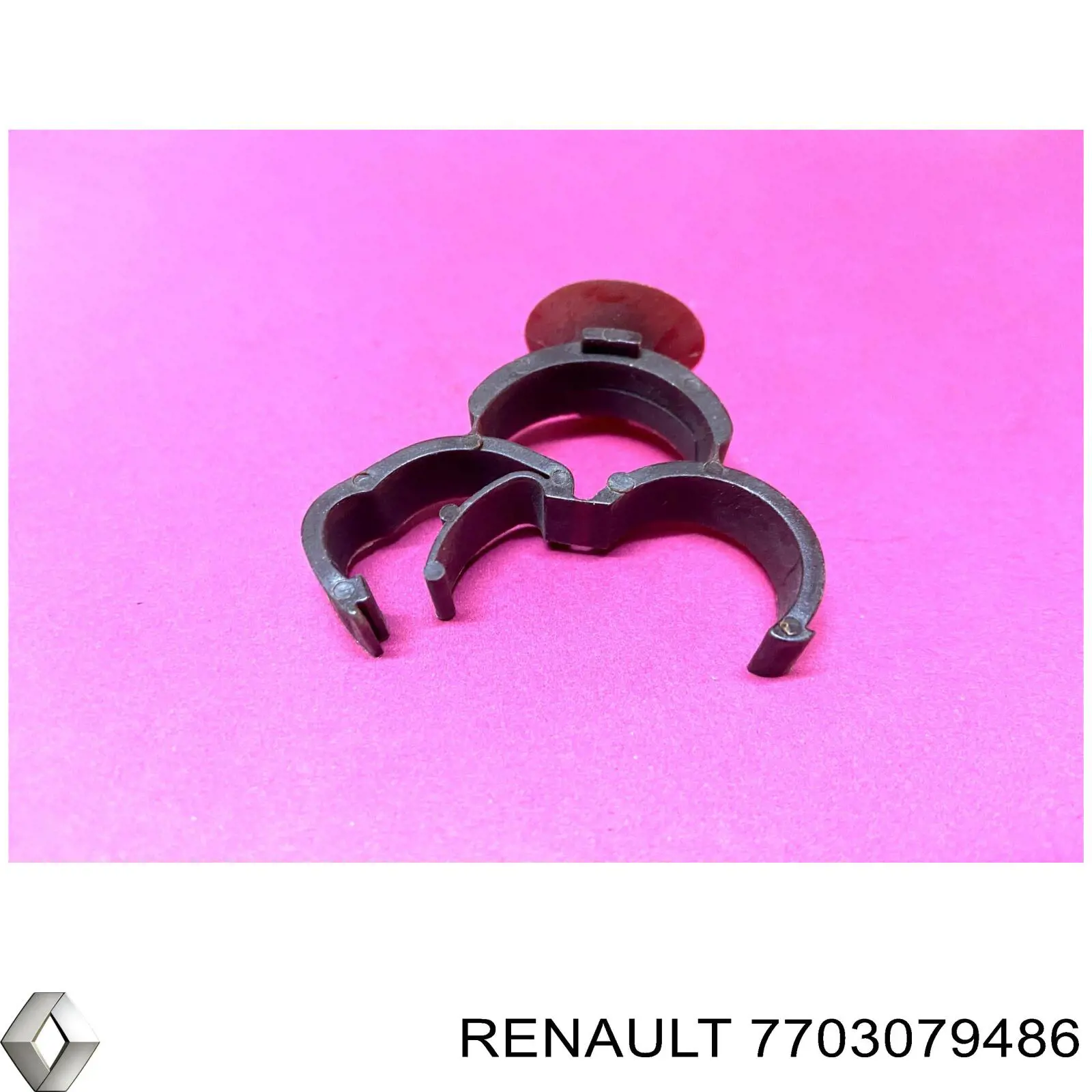 7703079486 Renault (RVI) 