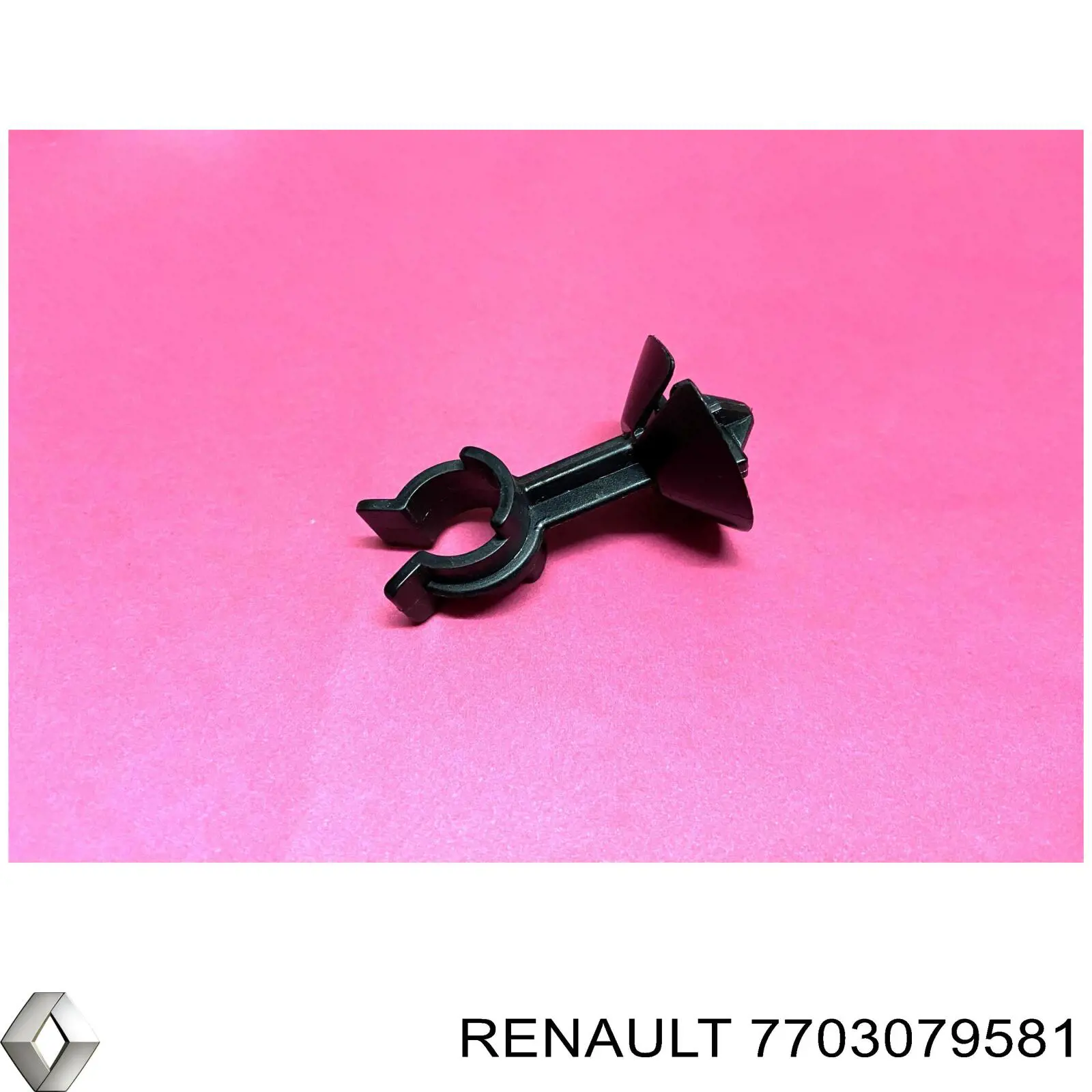 7703079581 Renault (RVI) 