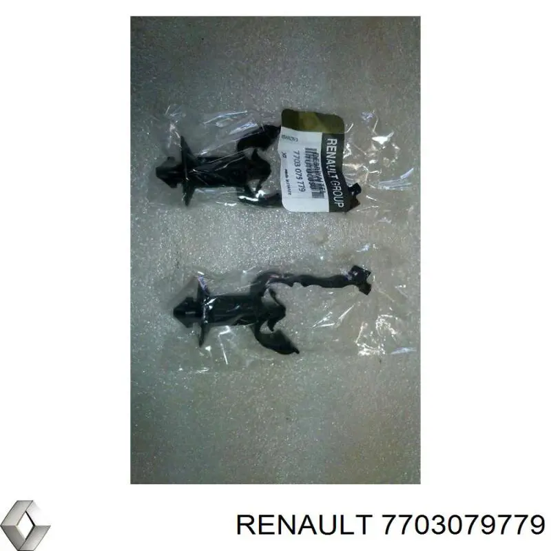  7703079779 Renault (RVI)