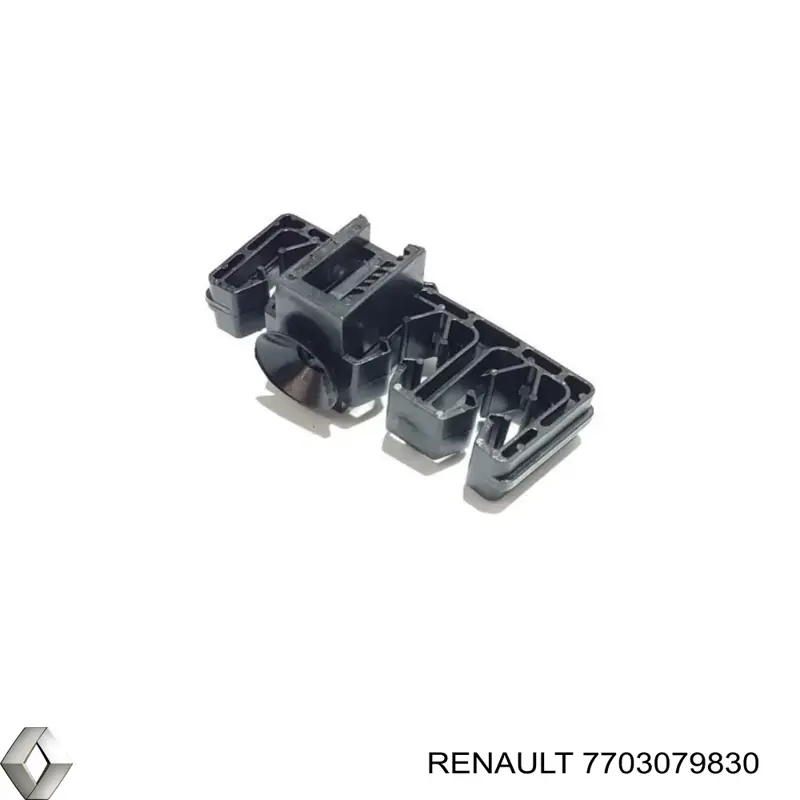  7703079830 Renault (RVI)