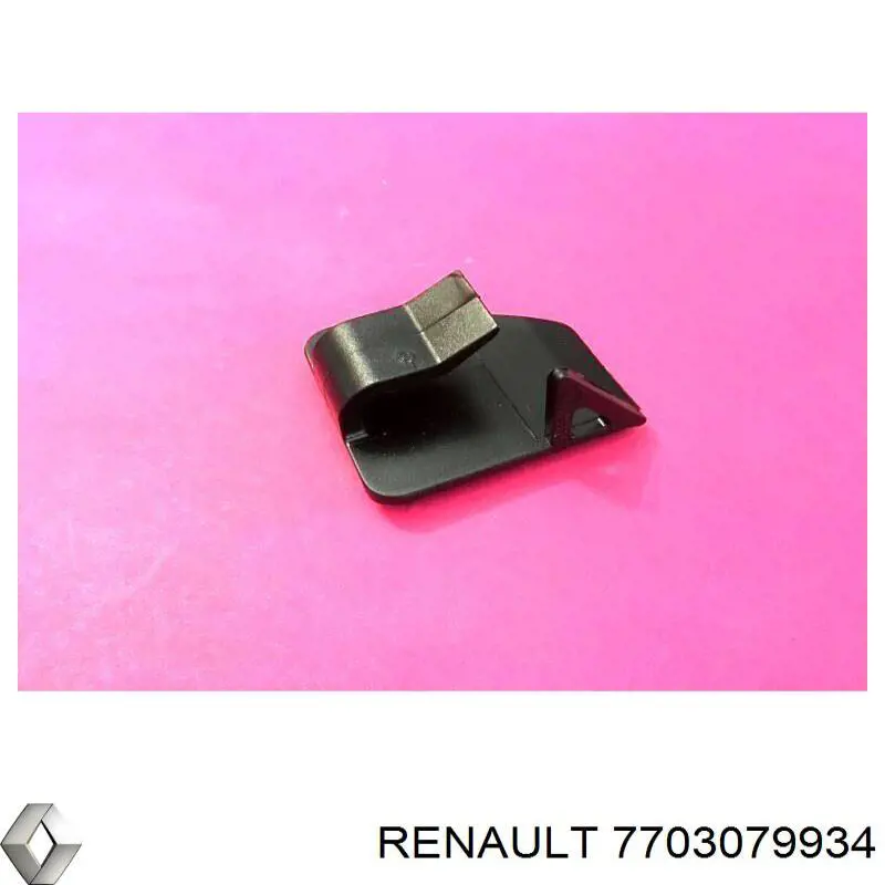  7703079934 Renault (RVI)