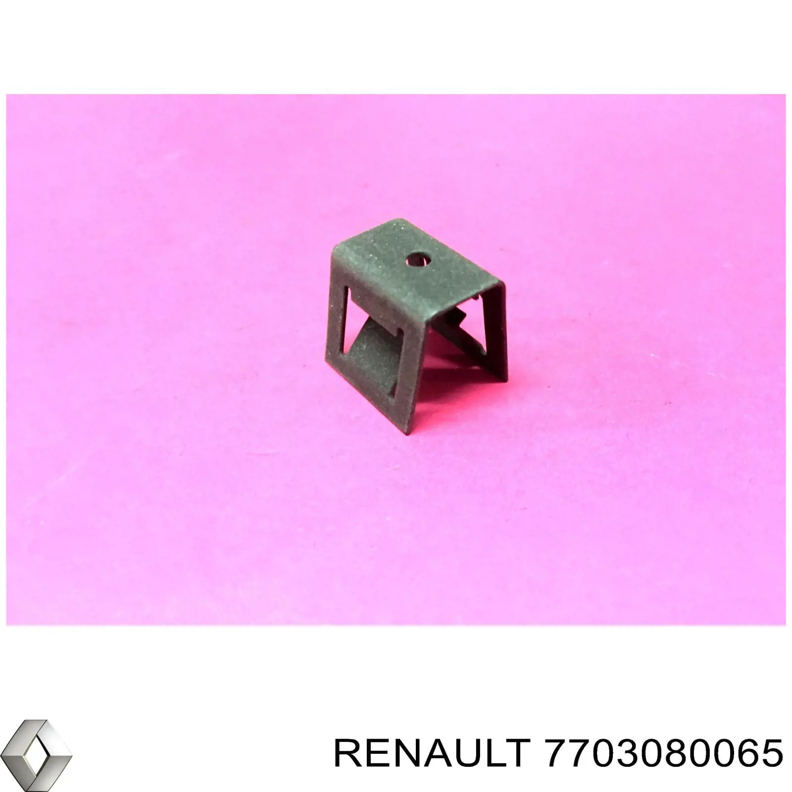  7703080065 Renault (RVI)