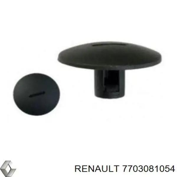 7703081054 Renault (RVI) cápsula (prendedor de fixação do forro do pára-choque do pára-lama dianteiro)