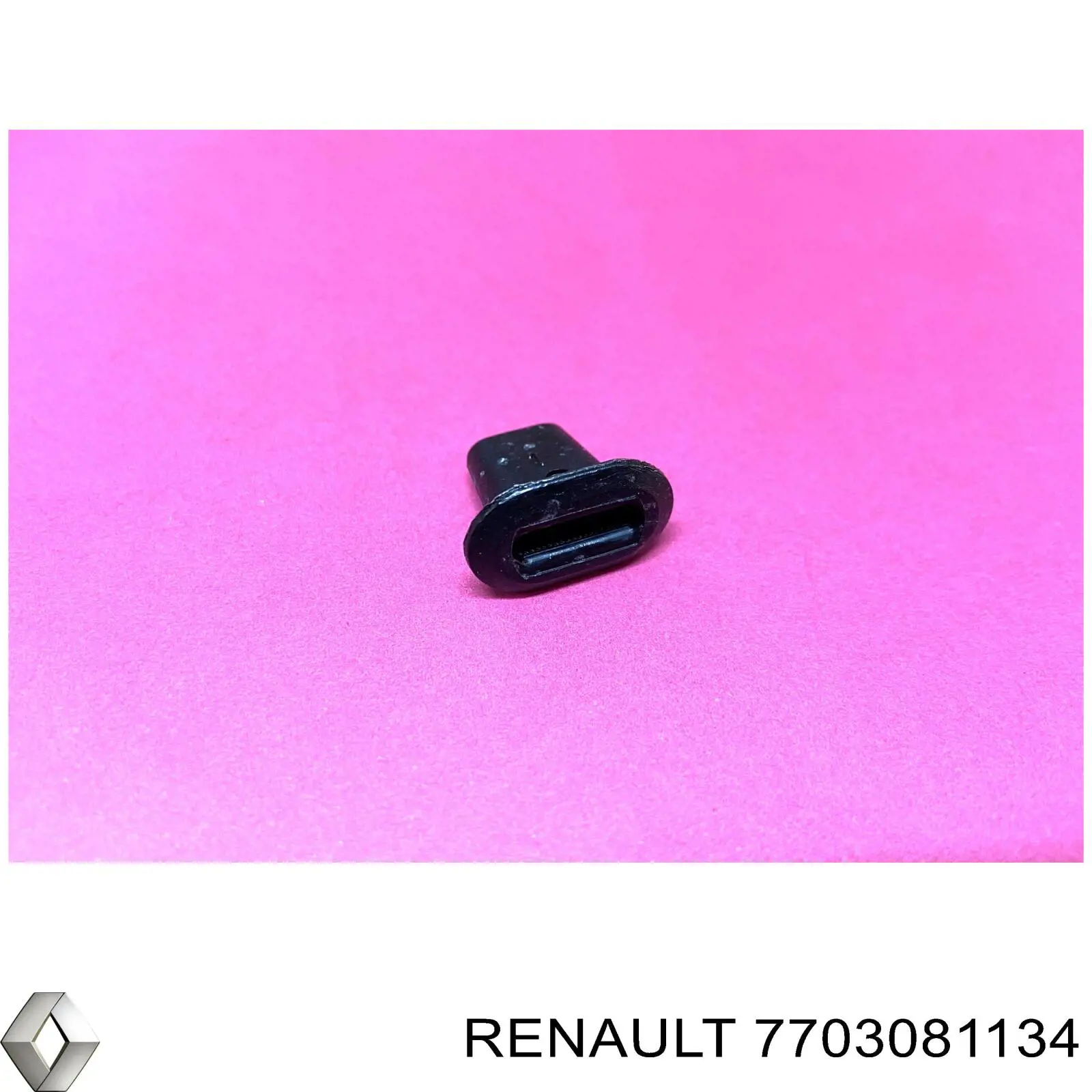  7703081134 Renault (RVI)