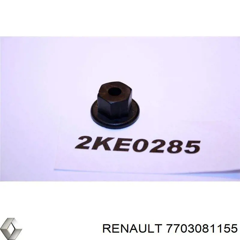  7703081155 Renault (RVI)