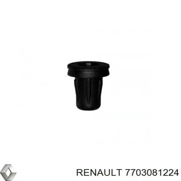  7703081224 Renault (RVI)