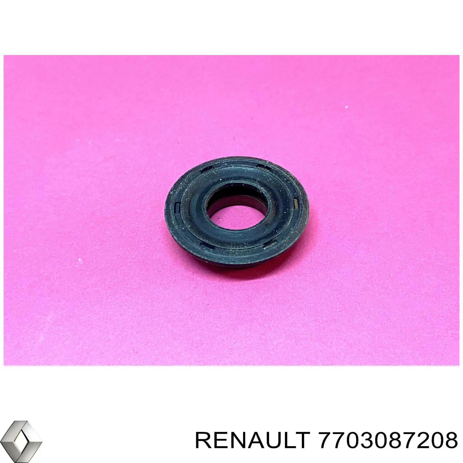 7703087208 Renault (RVI)
