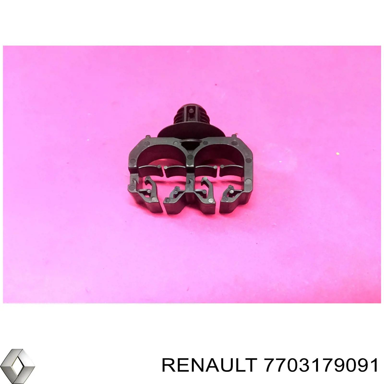 7703179091 Renault (RVI) 