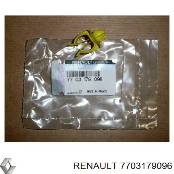 7703179096 Renault (RVI)