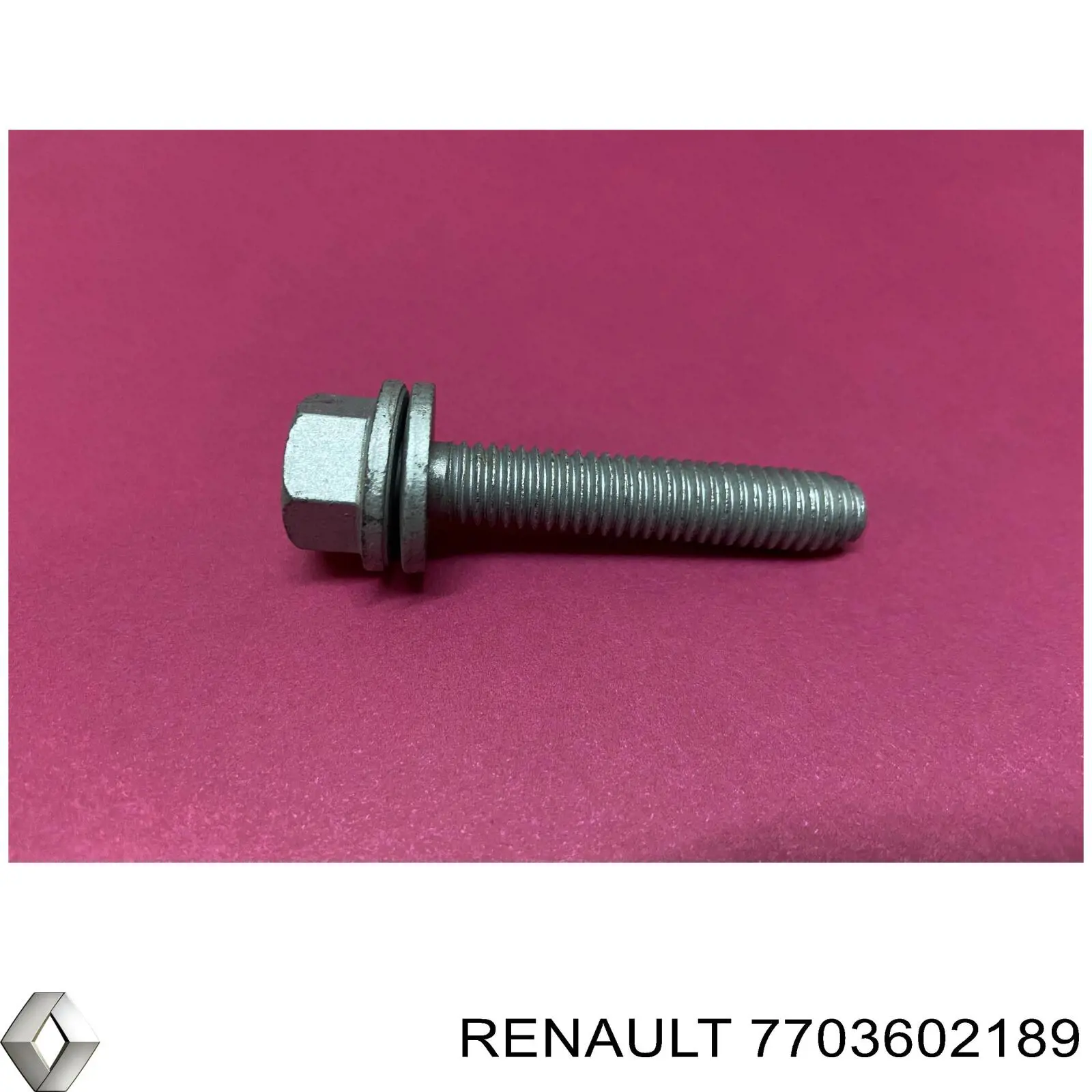 7703602189 Renault (RVI) 