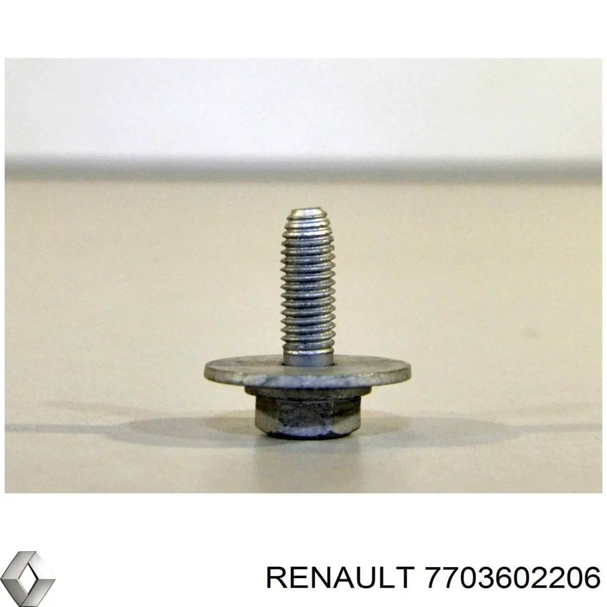  7703602206 Renault (RVI)