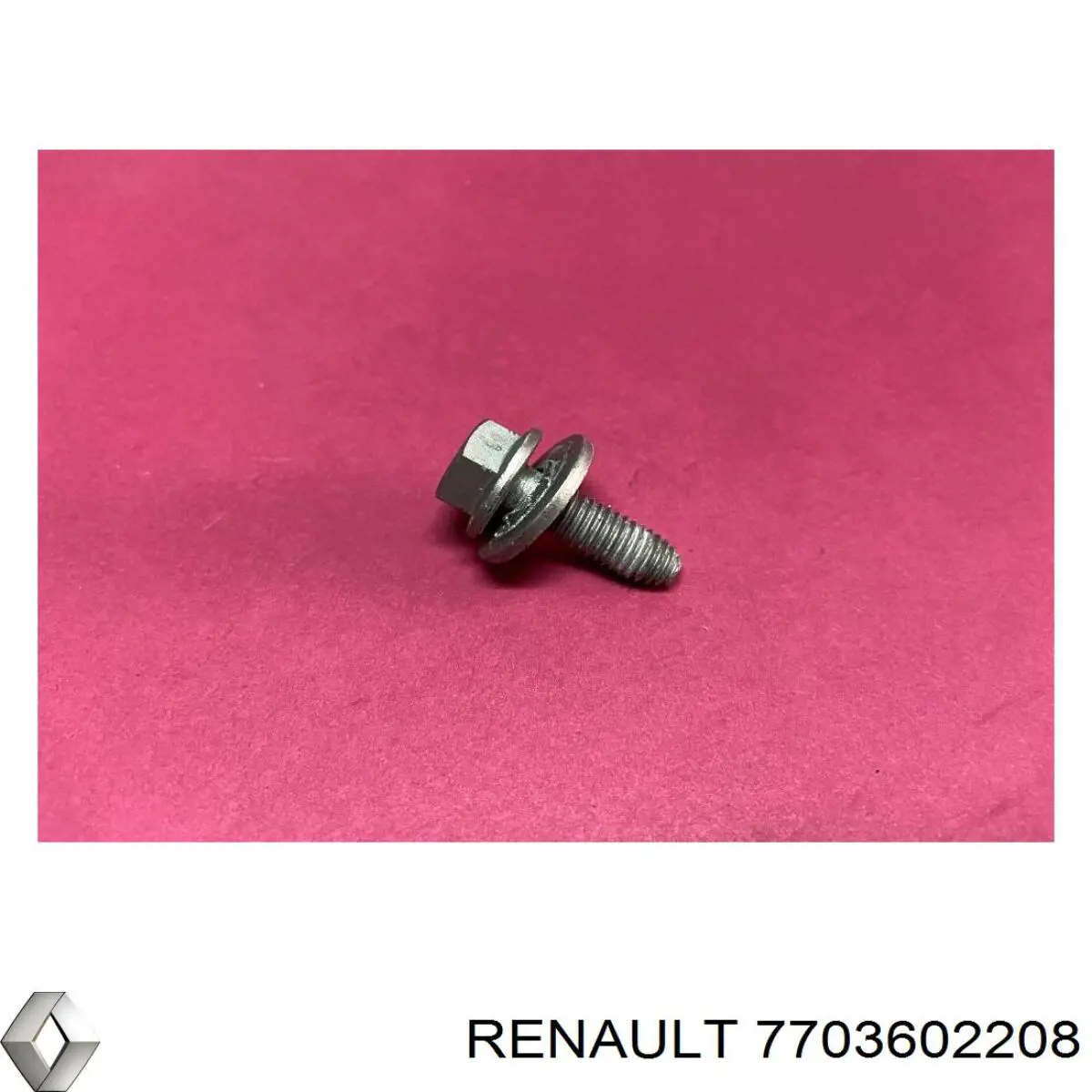 Perno de fijación, brazo oscilante delantera, inferior 7703602208 Renault (RVI)