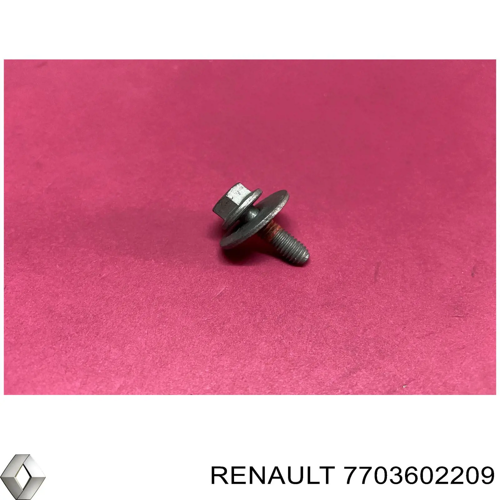 7703602209 Renault (RVI) 