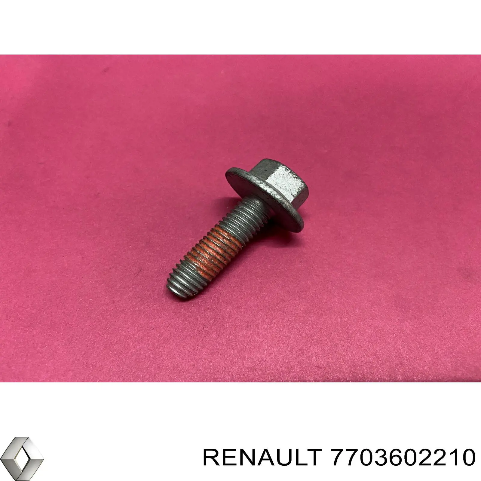 7703602210 Renault (RVI)