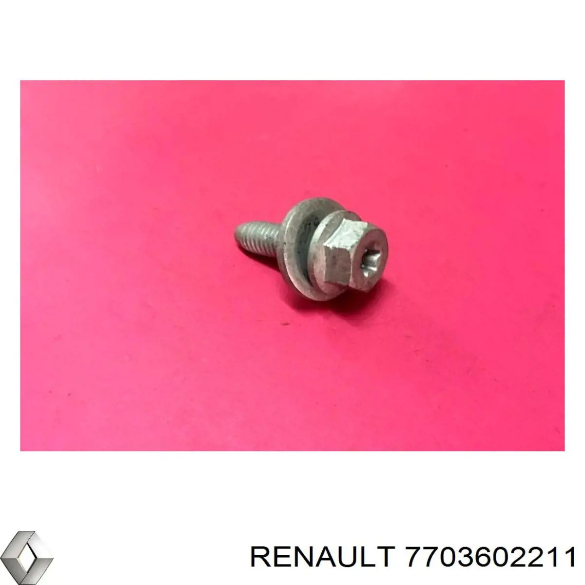 Perno de fijación, brazo oscilante delantera, inferior 7703602211 Renault (RVI)