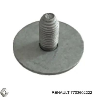 Tornillo 7703602222 Renault (RVI)