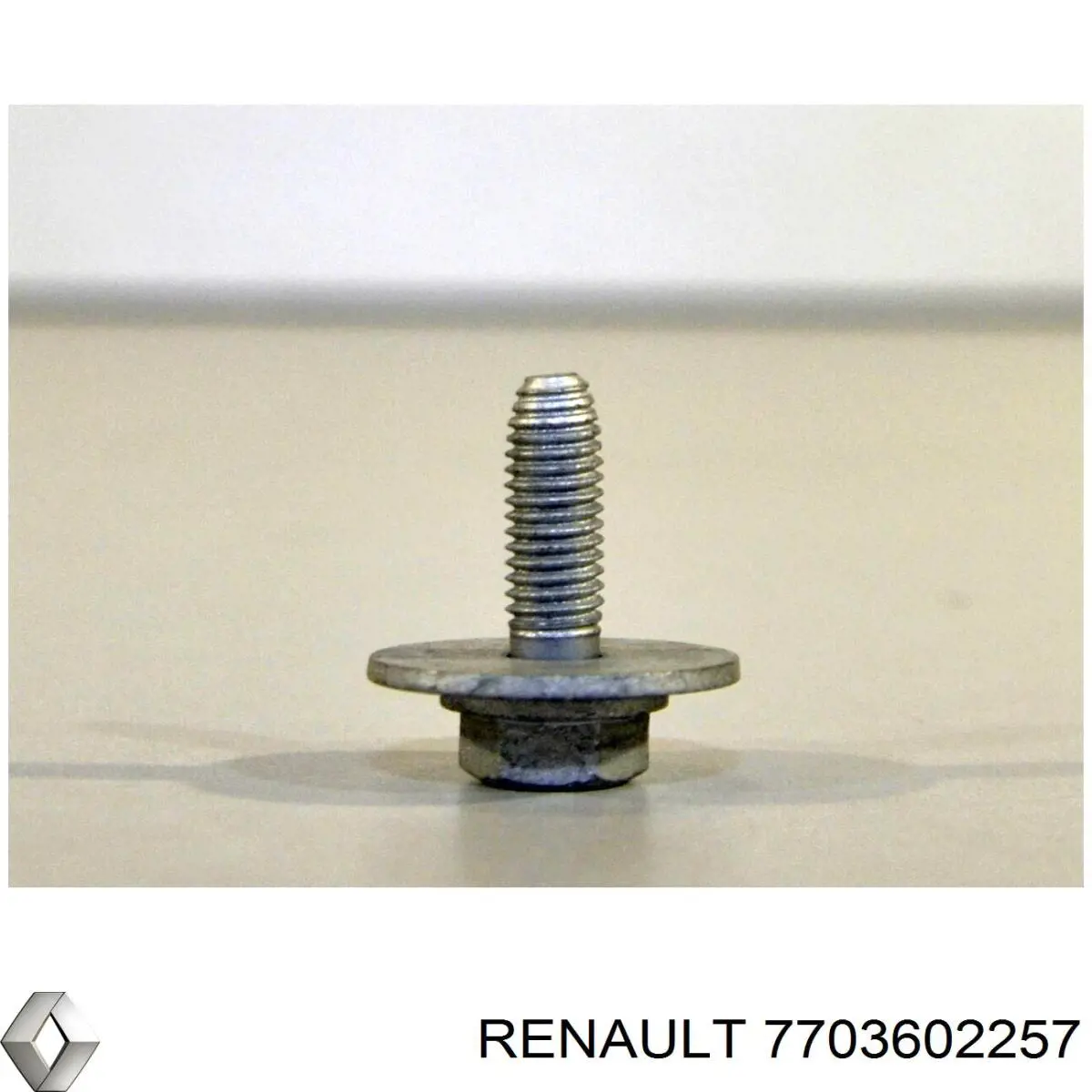 Parafuso de fixação do braço oscilante inferior traseiro para Renault Kangoo (FC0)