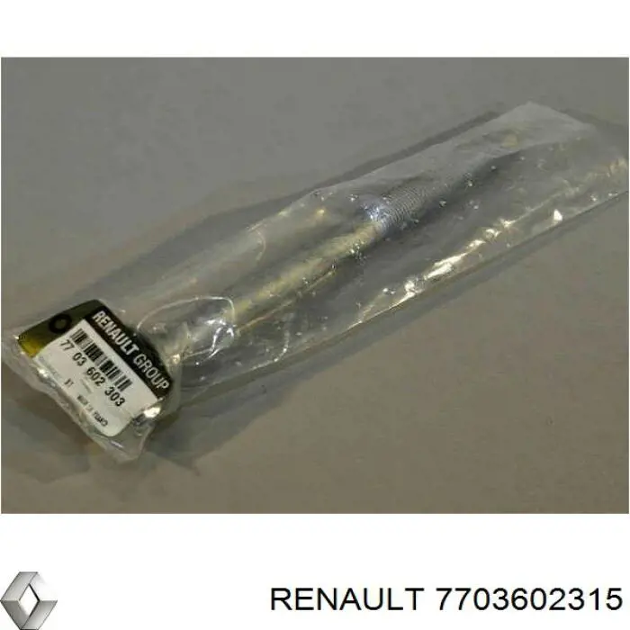  7703602315 Renault (RVI)