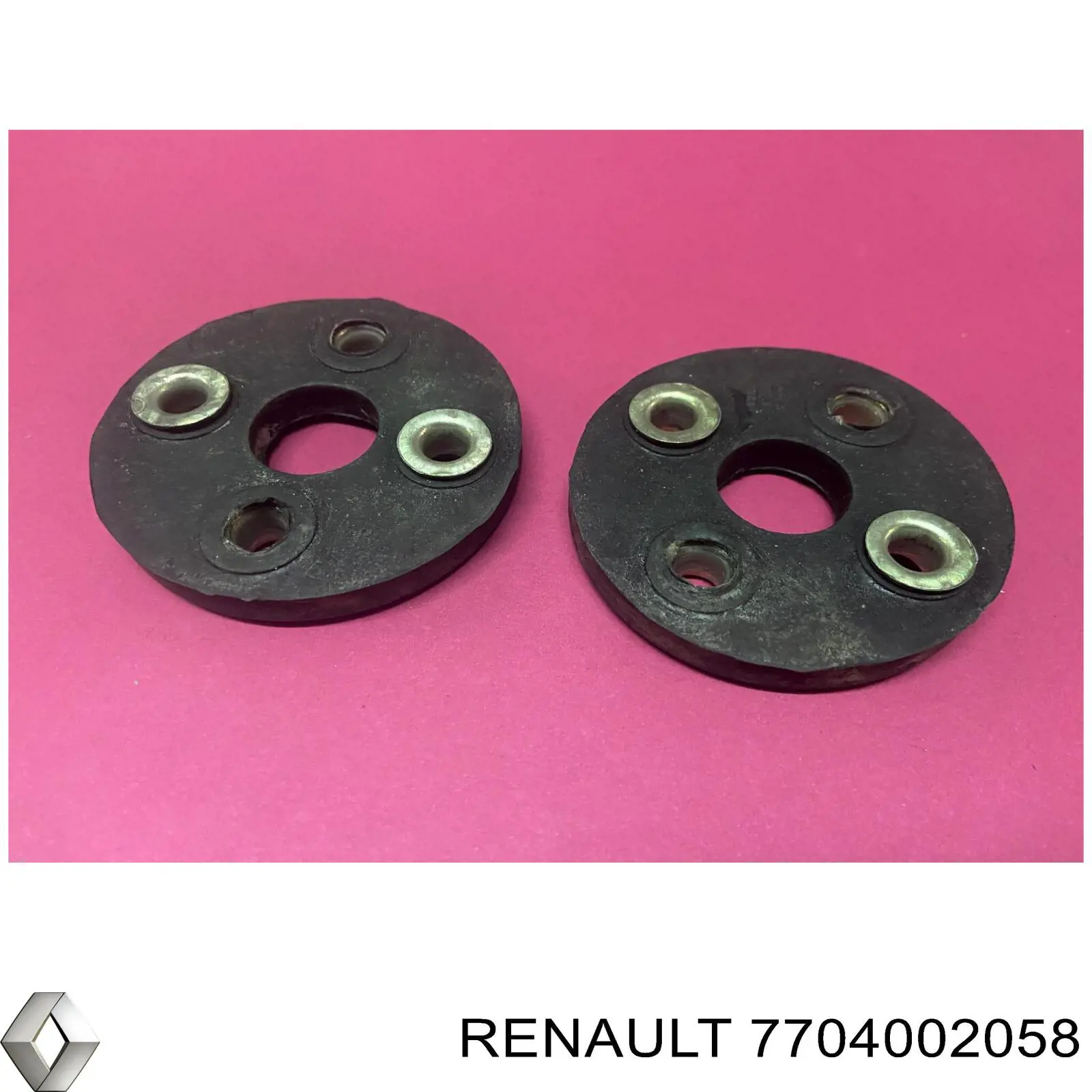  7704002058 Renault (RVI)