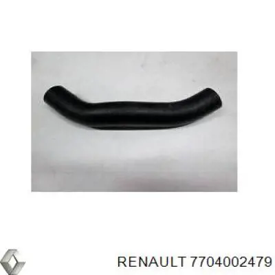 7704002479 Renault (RVI) 