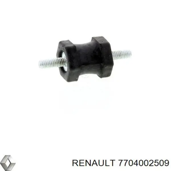 7704002509 Renault (RVI)