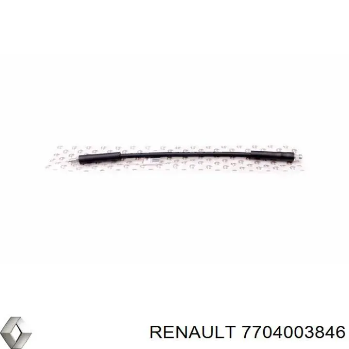  7704003846 Renault (RVI)