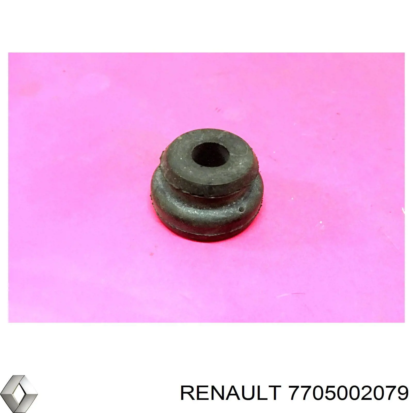  7705002079 Renault (RVI)