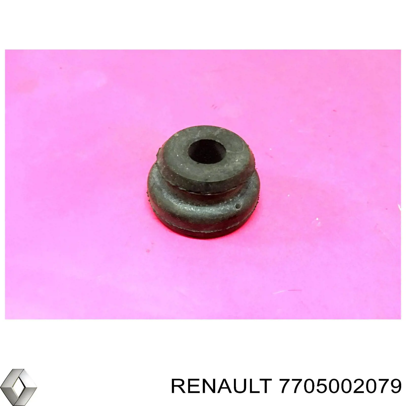  Renault (RVI) 7705002079 цена, от  