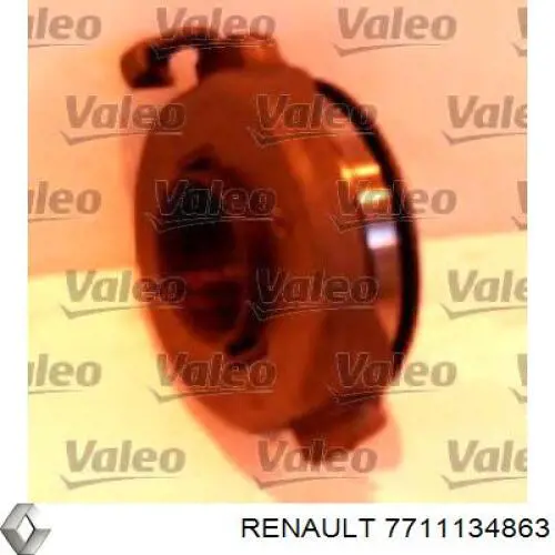  7711134863 Renault (RVI)