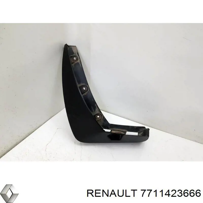 7711423666 Renault (RVI)
