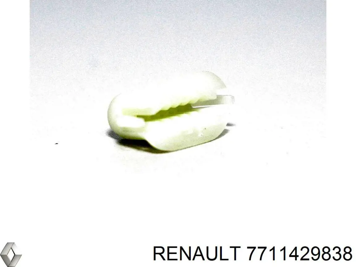7711429838 Renault (RVI)