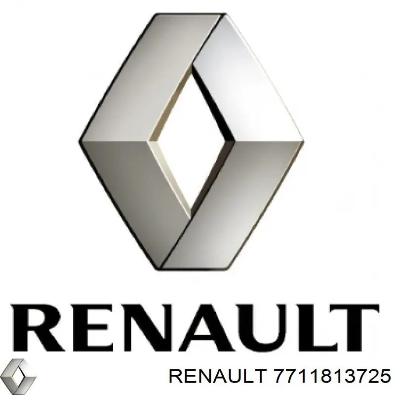 7711813725 Renault (RVI)