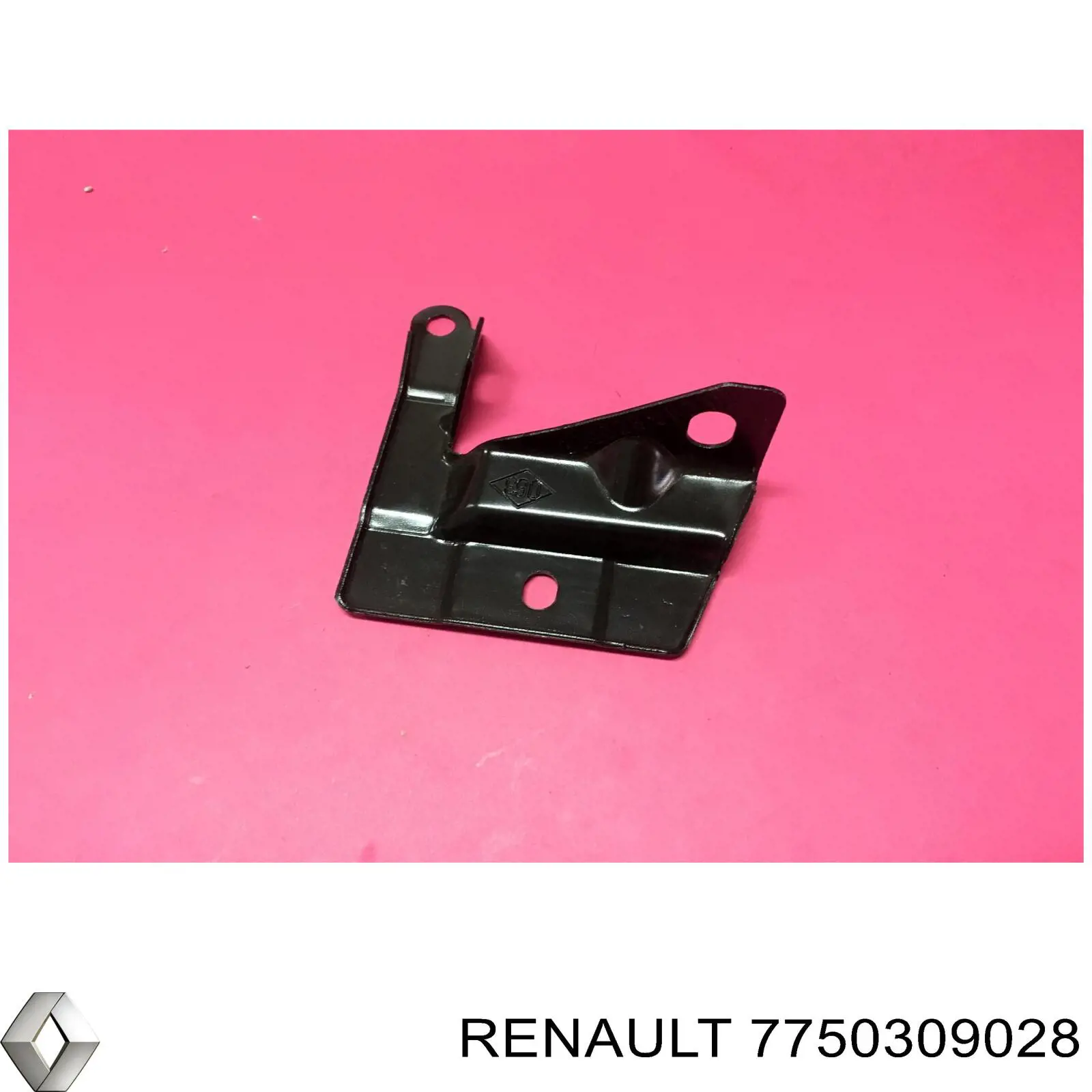  7750309028 Renault (RVI)